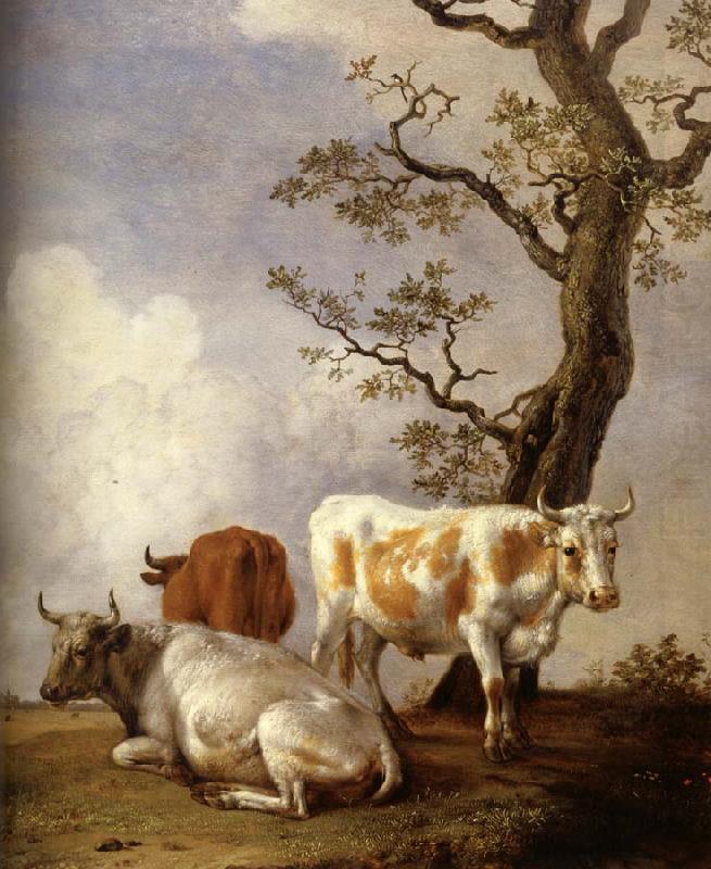 Four Bull, POTTER, Paulus